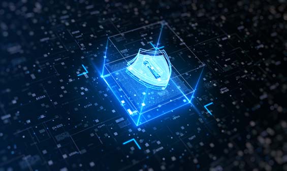 Security and Risk Assessment Workshop