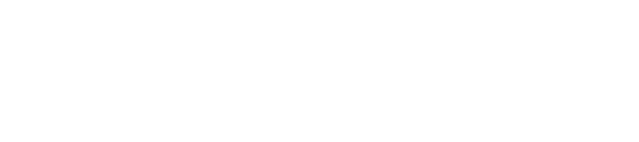 phase wise